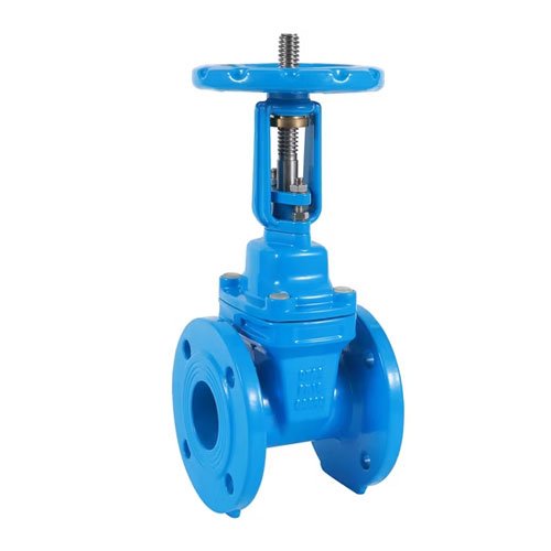 BS Rising Stem Gate Valve